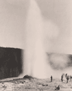 Old Faithful